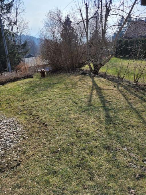 Appartement Le Flocon, Joli Petit Cocon 4 Pers En Rez De Jardin Draps Inclus Les Rousses Bagian luar foto